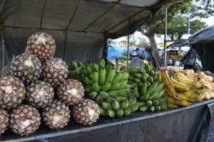 Cronograma da Feira de Agricultura Familiar de Penedo é divulgado para o mês de setembro