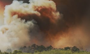 Geral Festival de Curtas tem edição online com apresentação de 200 filmes