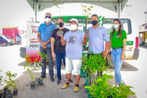 Penedo comemora Dia da Árvore com doação de espécies nativas
