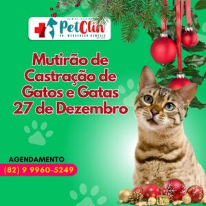 Mutirão de Castração de Gatos: Iniciativa para Combater o Abandono em Penedo