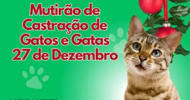 Mutirão de Castração de Gatos